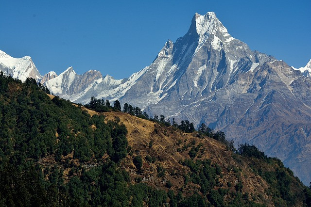 Khopra Hill Trek